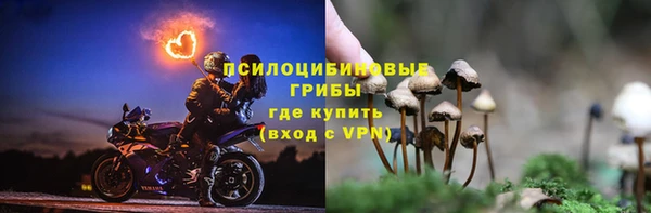 шишки Армянск