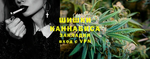 шишки Армянск