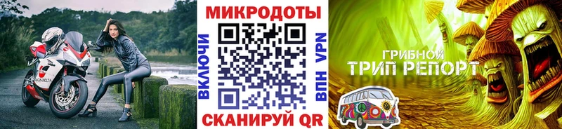Галлюциногенные грибы мицелий  Миньяр 